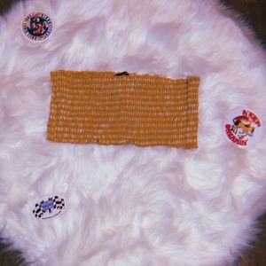 brandy melville mini tube top